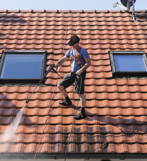 Roof Cleaning