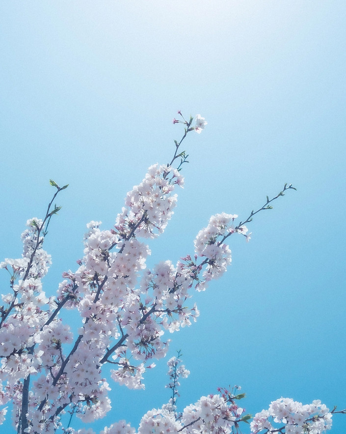 名称未設定のデザイン (8)_edited.jpg