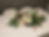 Thumbnail: Blush Pink Roses & Ivory Hydrangea Foral Swag