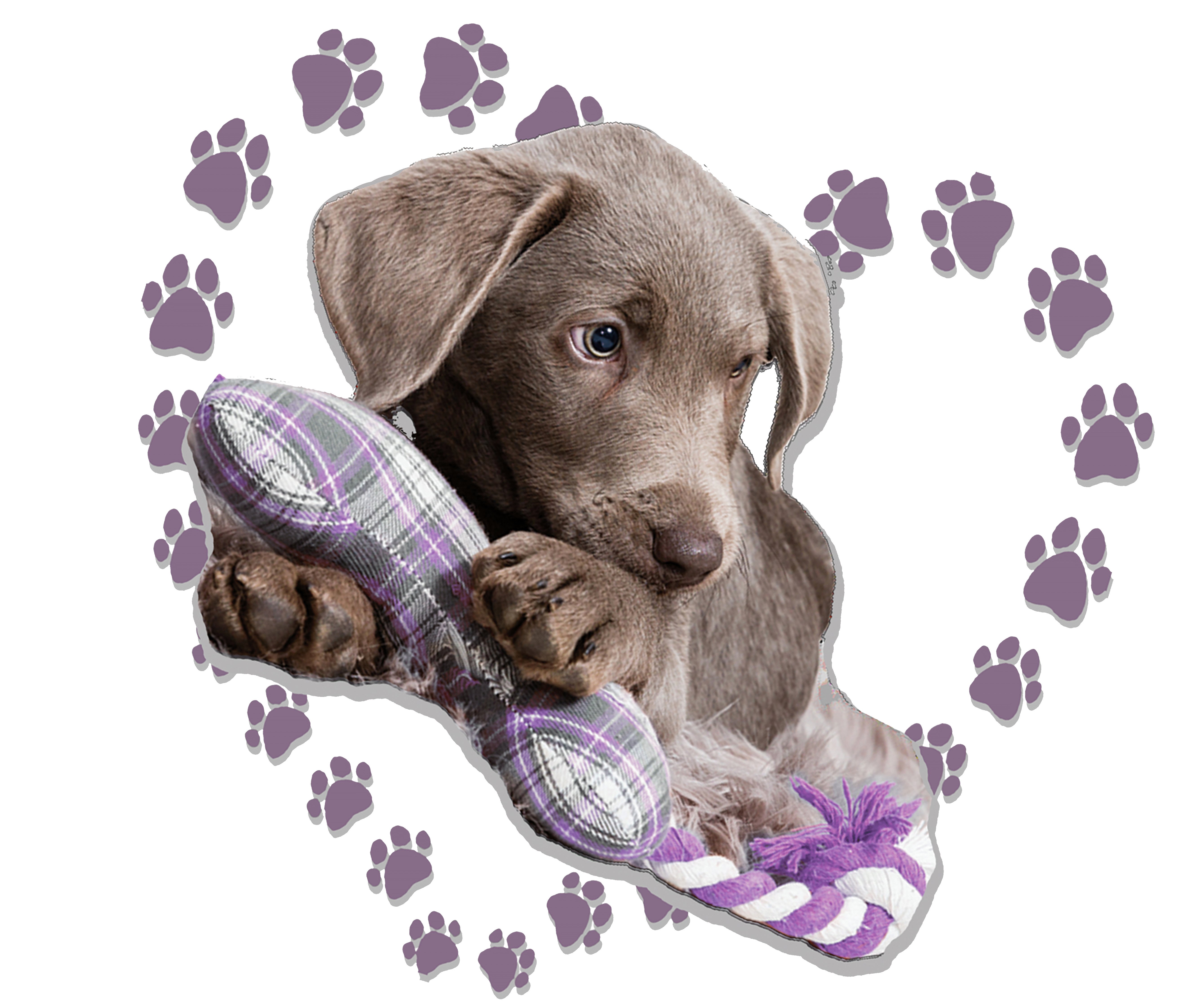 Hund new Logo.gif