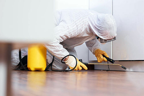 Disinfestazione-ambienti