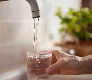 Attract Hummingbirds With This Safe, Eas