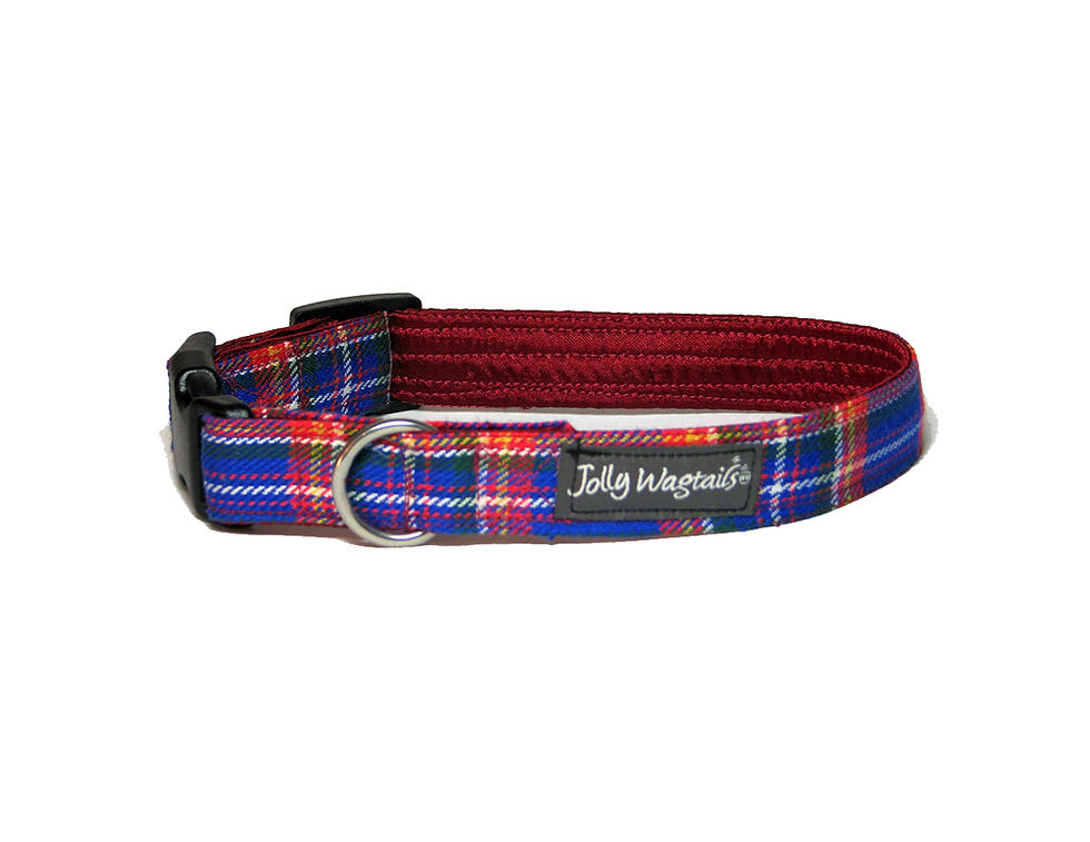 Thumbnail: Royal / Red Tartan $27 - $39