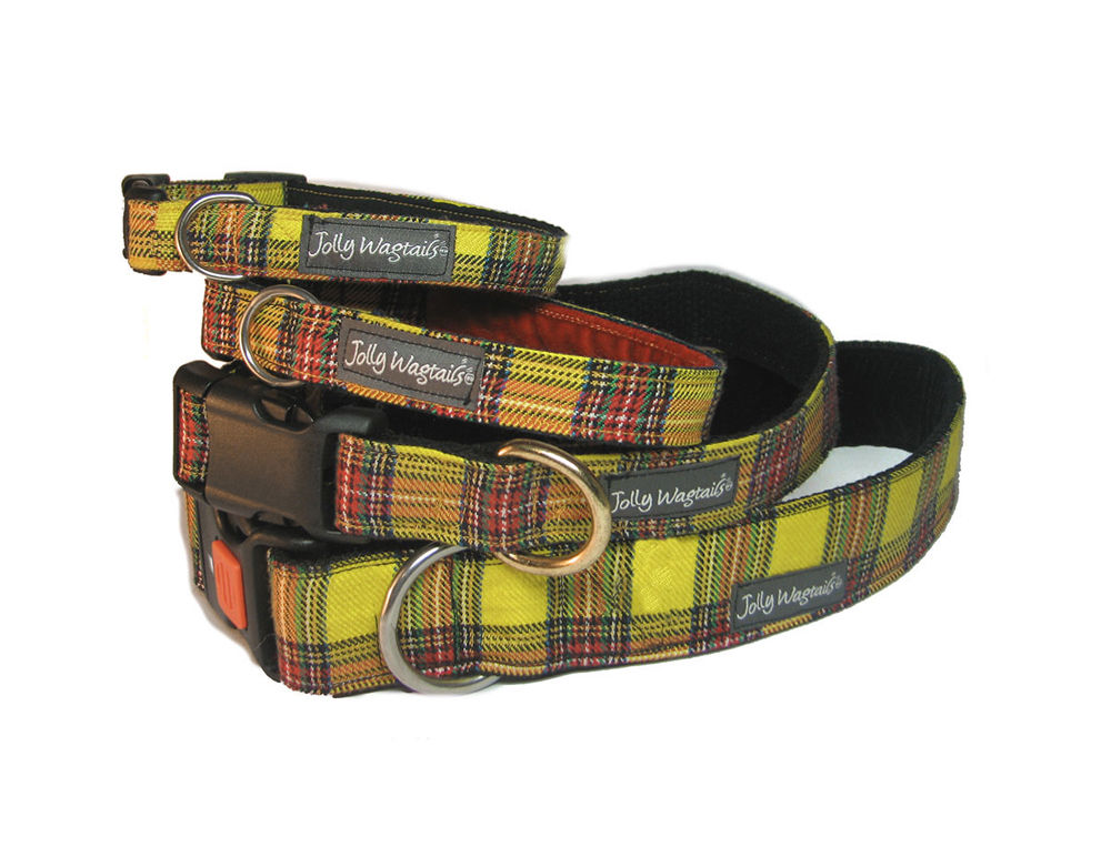 Sunny Yellow ~ $15 - $50