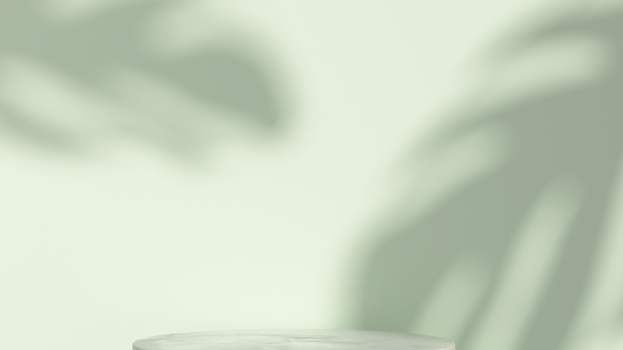 Programa REC.png