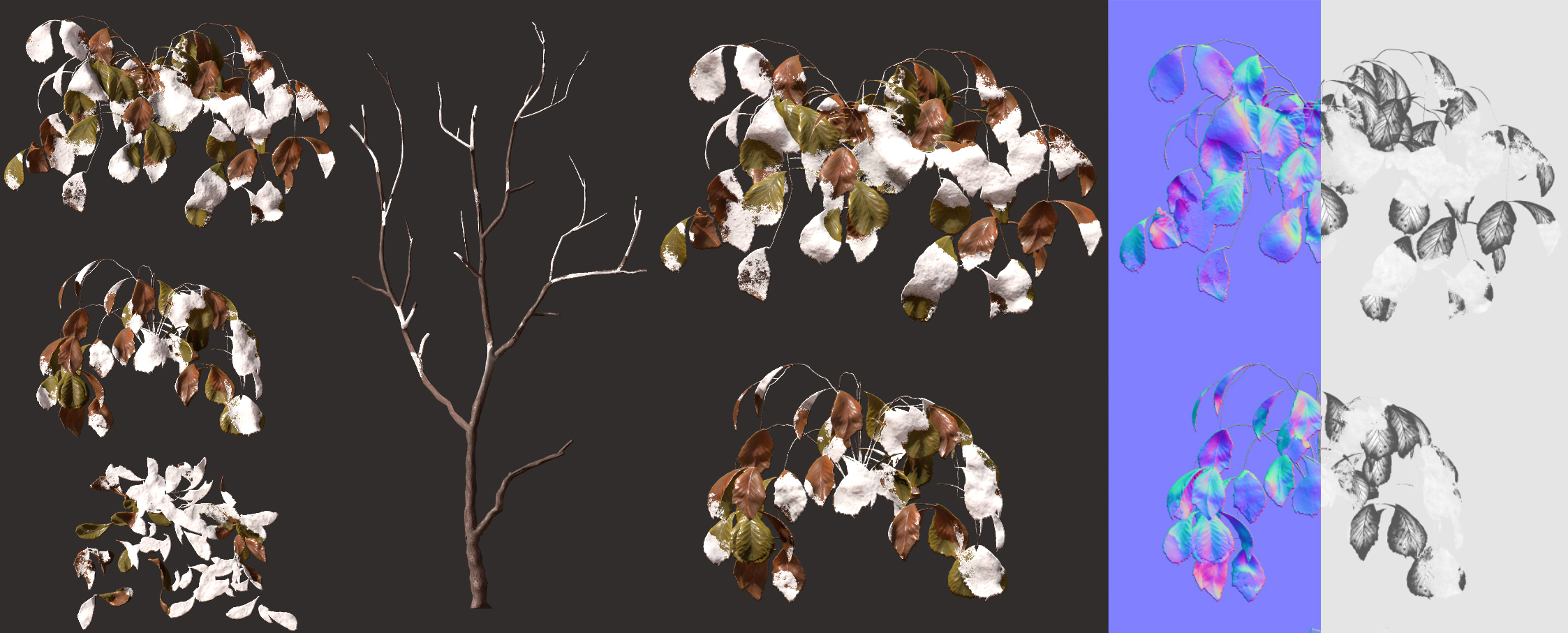 foliage.jpg