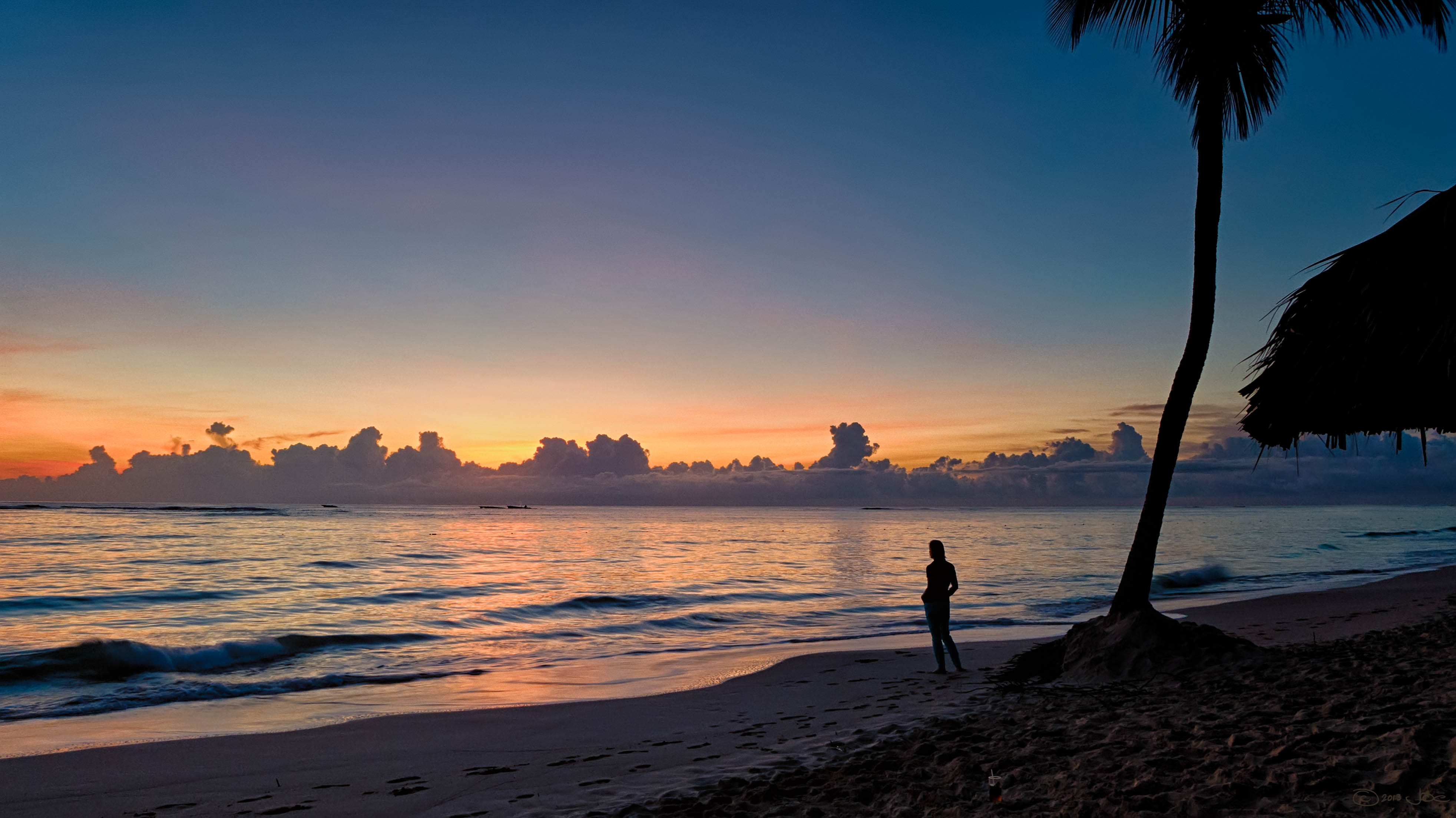 Canva - Silhouette of a Person Near Coco