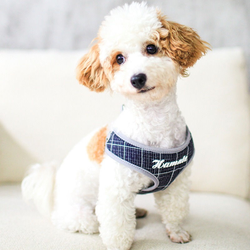 Thumbnail: Soft Mesh Comfort Padded Dog Harness Matched Bandana DHCT22028