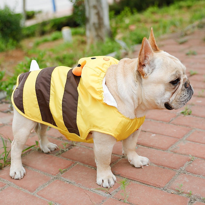 Thumbnail: Dog Bee Lightweight Waterproof Raincoat Jacket PCAD22052