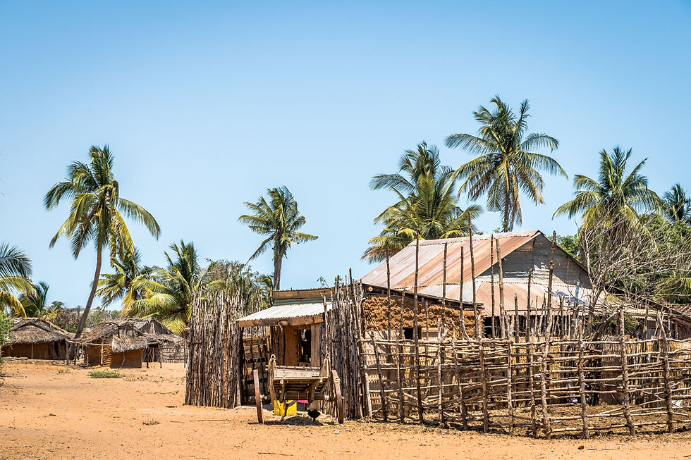Allée des Baobabs - Madagascar