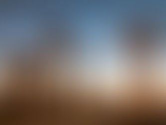 A la découverte de l'Allée des Baobabs à Madagascar