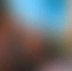 Jardin de Majorelle Marrakech