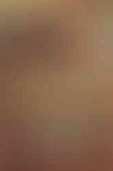 Ile Maurice Port Louis