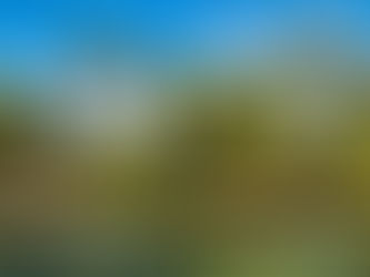 L'île aux Nattes : le paradis de Madagascar