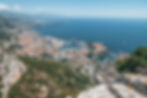 Dog's head view monaco