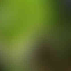 Jardin des plantes Paris