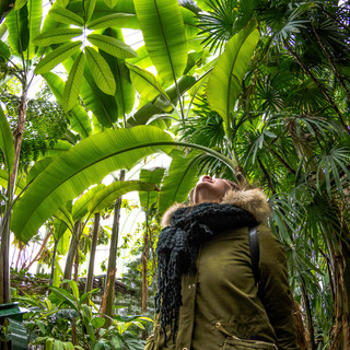 Jardin des plantes Paris