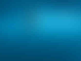 Ile Maurice Nager Dauphins