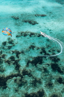 Ile aux cerfs Maurice