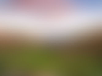 Ambatomanga : découvrir les rizières de Madagascar