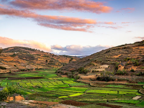 Ambatomanga : découvrir les rizières de Madagascar