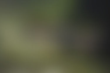 Guide de vaccination de voyage : quels vaccins avez-vous besoin ?