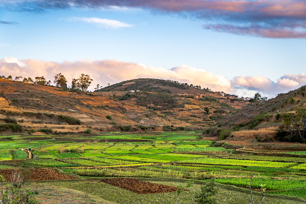 Ambatomanga - Madagascar