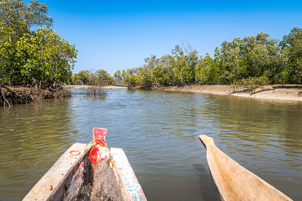 Allée des Baobabs - Madagascar