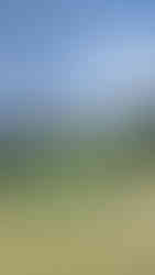 Golf de Méribel