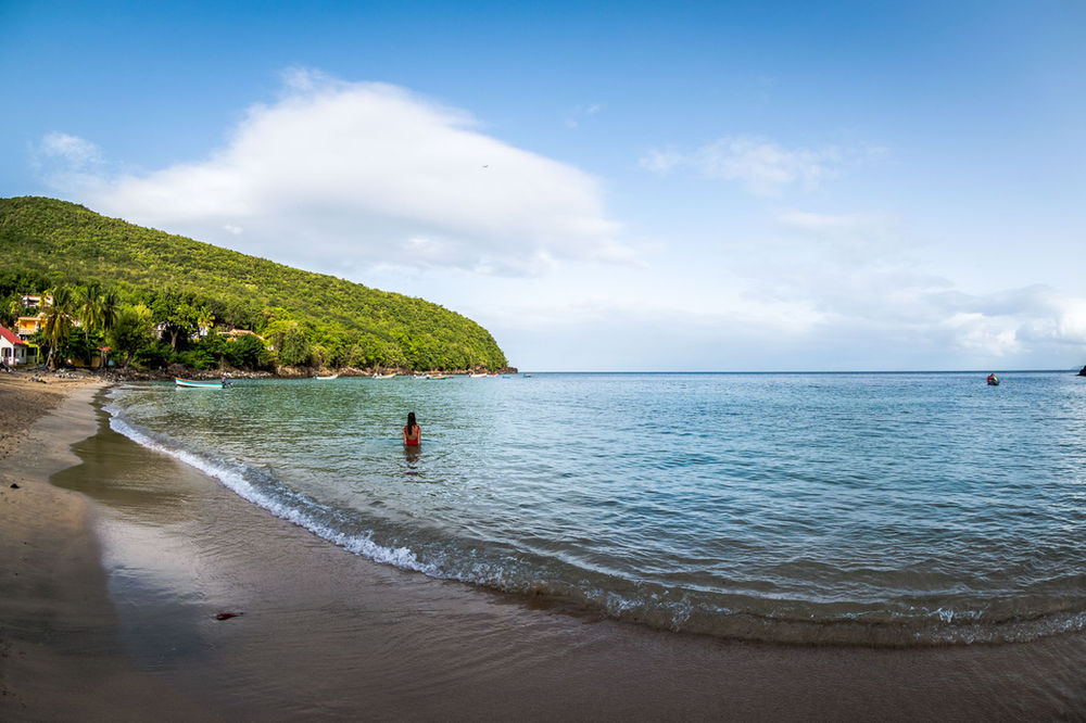 Nager avec les tortues en Martinique