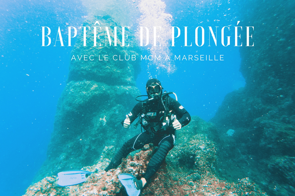 Distribution De Le Club De Plongée Baptême de plongée avec le club MCM Plongée, à Marseille