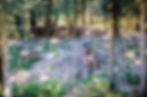 Parc Alpha, parc des loups du Mercantour