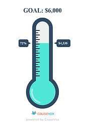 Miles for Meals Progress