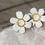 Miniatura: Marguerite simple