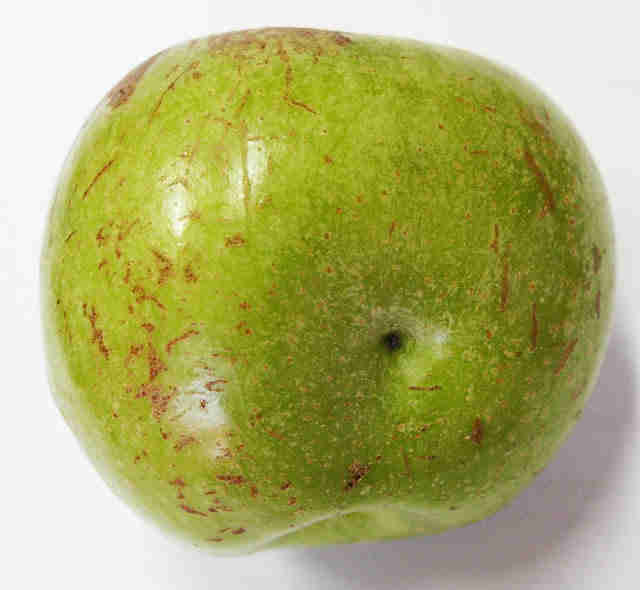 וואבי סאבי עיצוב פנים