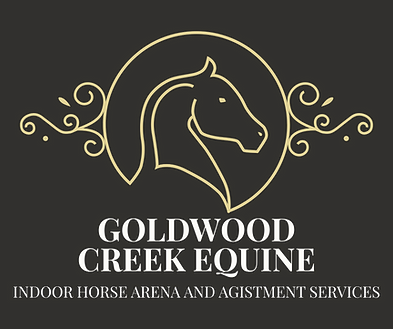 logo-transparent-png no full stop_edited