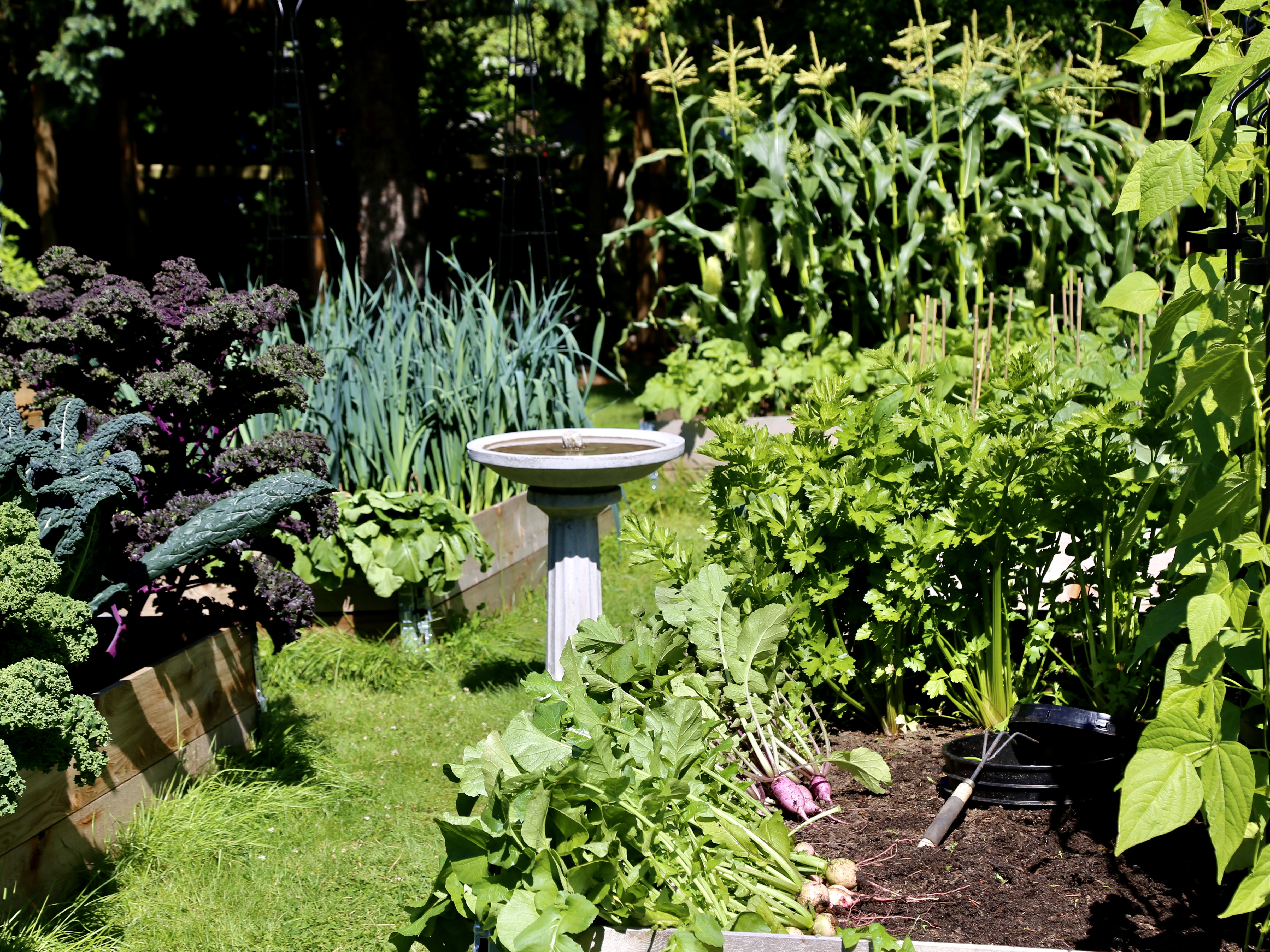 happy farmer kitchen composter happy farmer kitchen composter