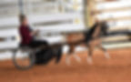 201904403_10214785625594378_1198516073230632341_n