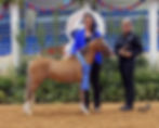 311264611_10229114015898710_4582903425170013454_n