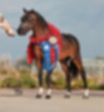 420820612_1842546949540287_3441756545646954968_n_edited