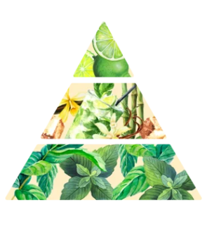 Miniature : BOUGIE MOJITO