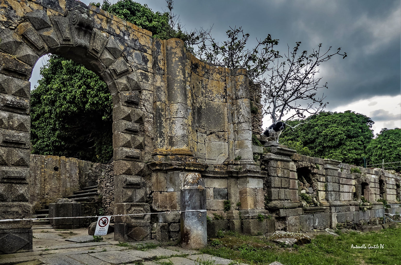 placanica.jpg