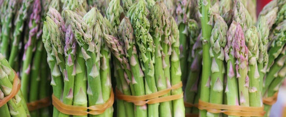Farmer's Market