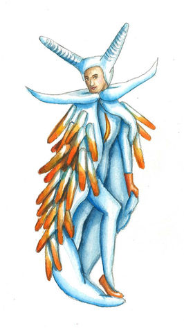 Nudibranch