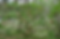 Thumbnail: California Sunset