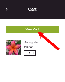 Popup Cart contents: to Checkout, select View Cart