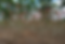 Thumbnail: Desert Sunrise