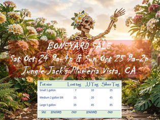 Boneyard sale in Vista