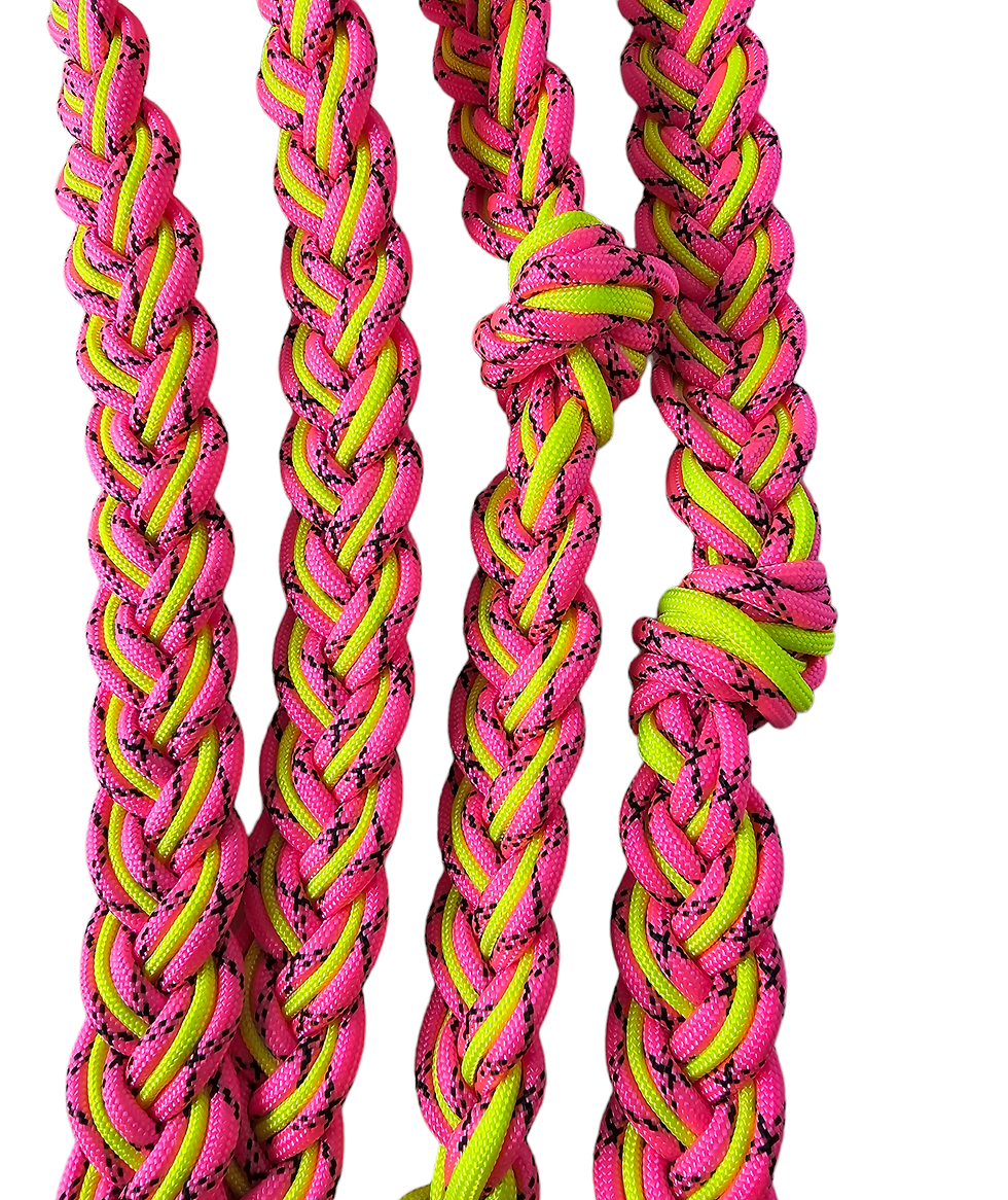 Thumbnail: Custom Paracord Reins (9 Strand)