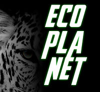 Edição-de-revista-no-indesing